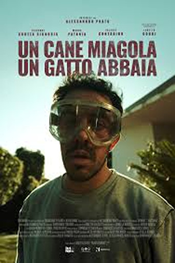 A Dog Meow, a Cat Barks movie poster