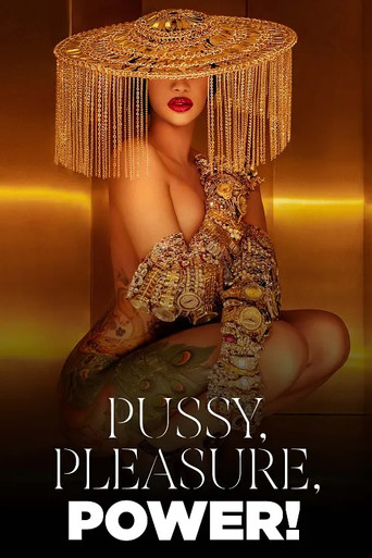 Pussy, Pleasure, Power! - Female Desire and Pop Culture movie poster