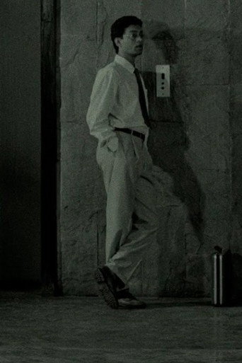 A Briefcase Full of Reflexive Maladies movie poster