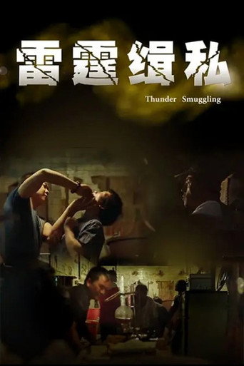 雷霆缉私 movie poster