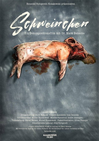 Piggy movie poster