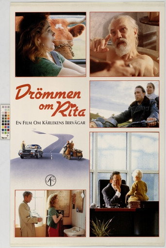 Dreaming of Rita movie poster