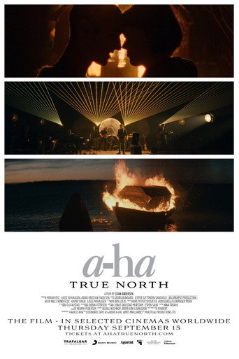 a-ha: True North movie poster