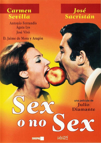 Sex o no sex movie poster