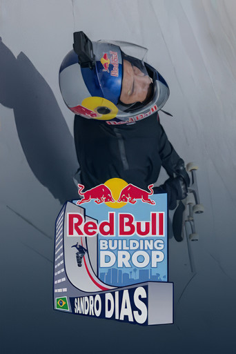 Sandro Dias's Ultimate Skate Ramp movie poster