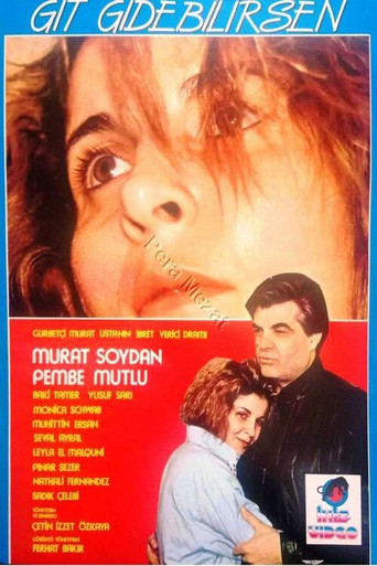 Git Gidebilirsen movie poster