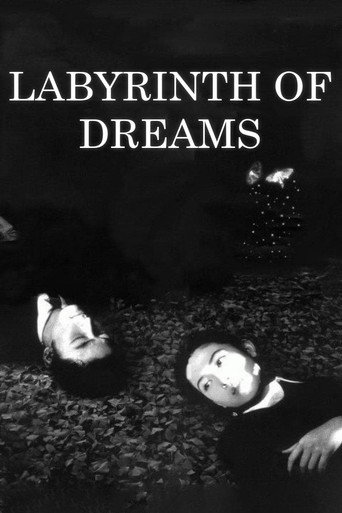 Labyrinth of Dreams movie poster