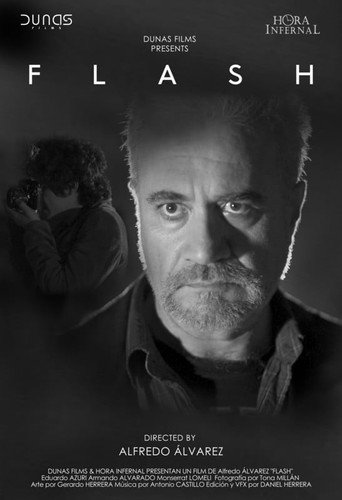 Flash movie poster