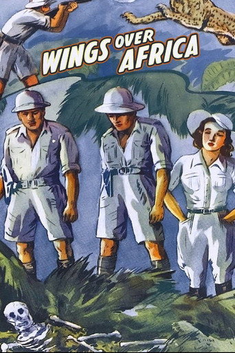 Wings over Africa movie poster