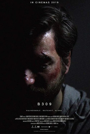B309 movie poster