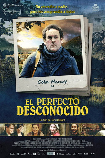 The Perfect Stranger movie poster