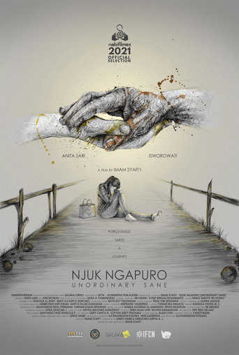 Unordinary Sane movie poster