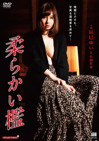 Gishin rankô: Yamiyo ni ugomeku mesu shiri movie poster