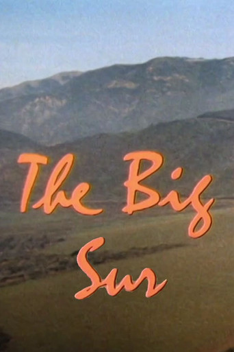 The Big Sur movie poster