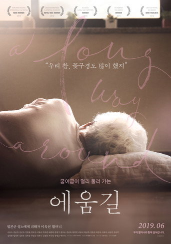A Long Way Around movie poster