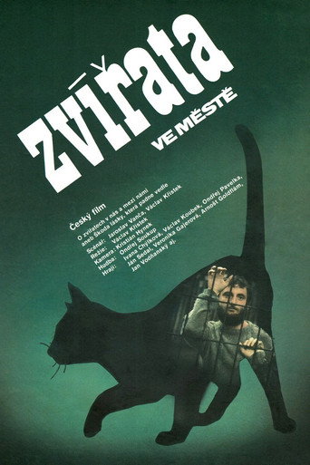 Zvířata ve městě movie poster