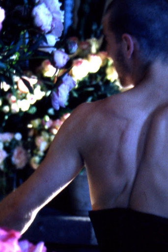 Quelques fleurs pour un chant d'amour movie poster