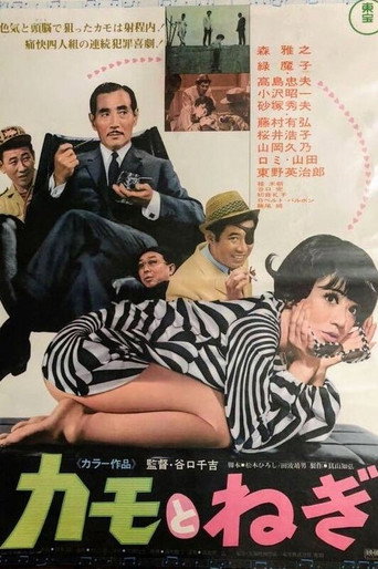 Wild Ducks and Green Onions movie poster