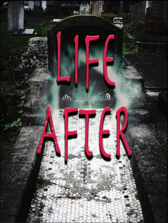 Life After movie poster