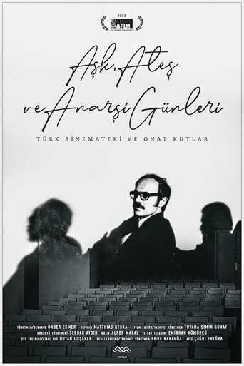 Days of Fire, Love and Anarchy movie poster
