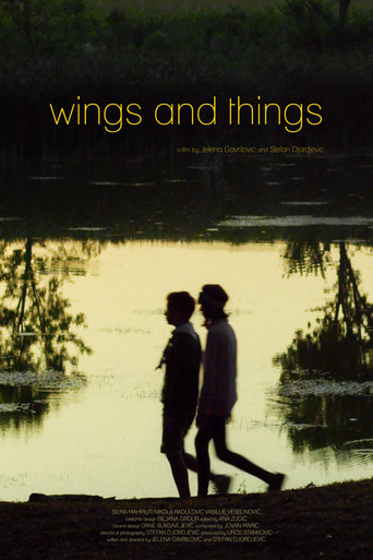Wings and Things movie poster
