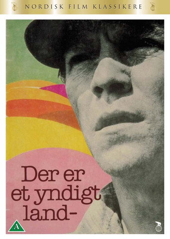 Land of Plenty movie poster