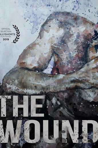 The Wound movie poster