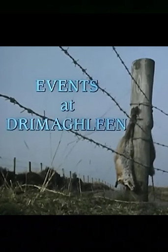 Events at Drimaghleen movie poster