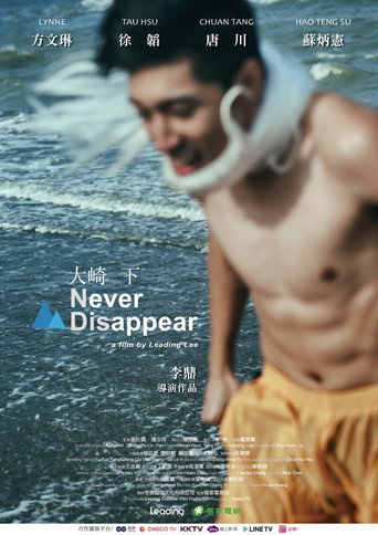 Never Disappear movie poster