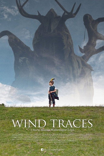 Wind Traces movie poster