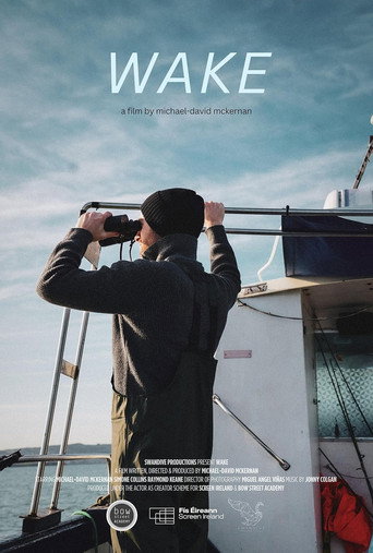 Wake movie poster