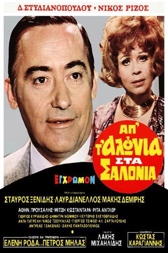 From the Stable to the Salon movie poster
