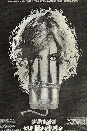 The Dragonfly Bag movie poster