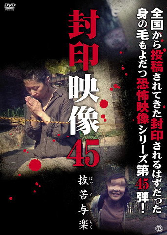 Sealed Video 45: Bakkuyoraku movie poster