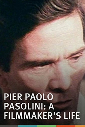 Pier Paolo Pasolini: A Film Maker's Life movie poster
