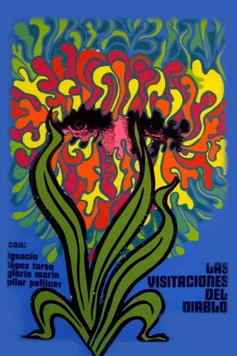 The Devil's Visitations movie poster