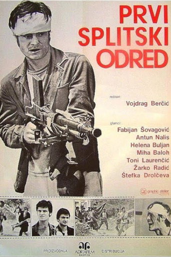 1st Split Detachment movie poster