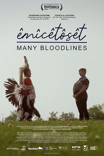 êmîcêtôsêt: Many Bloodlines movie poster