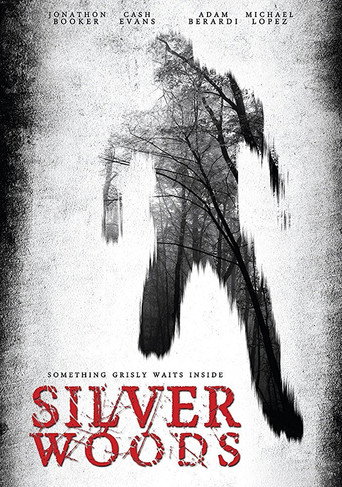 Silver Woods movie poster