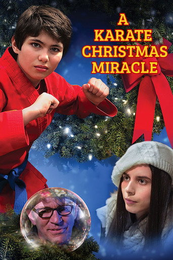 A Karate Christmas Miracle movie poster