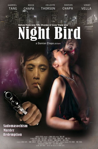 Night Bird movie poster