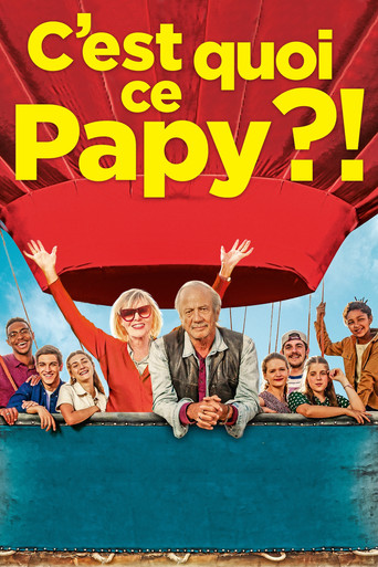 When Granny Meets Grandpa movie poster