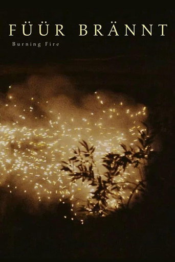 Burning Fire movie poster