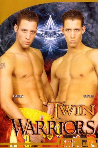 Twin Warriors movie poster