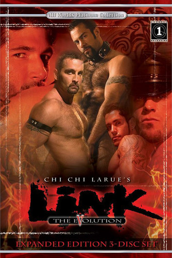 Link 5: The Evolution movie poster