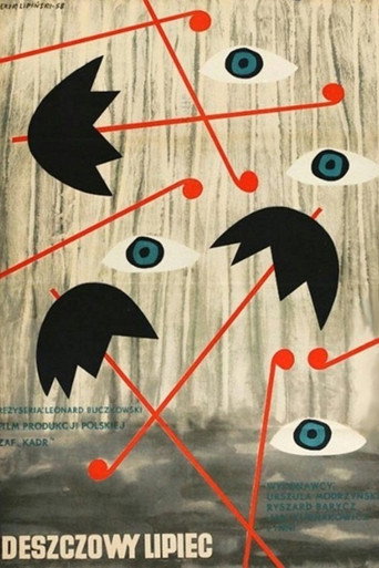 Rainy July movie poster