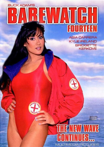 Babewatch 14 movie poster