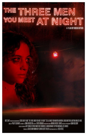 The Three Men You Meet at Night movie poster