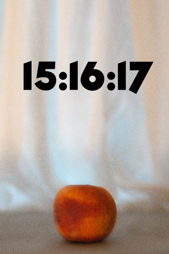 15:16:17 movie poster