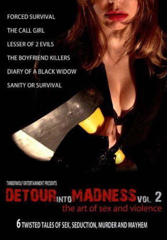 Detour Into Madness Vol. 2 movie poster